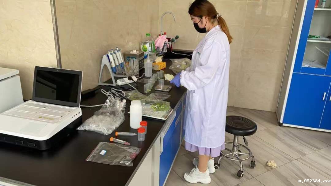 1594800020779788.jpg 微信图片_20200715155841.jpg