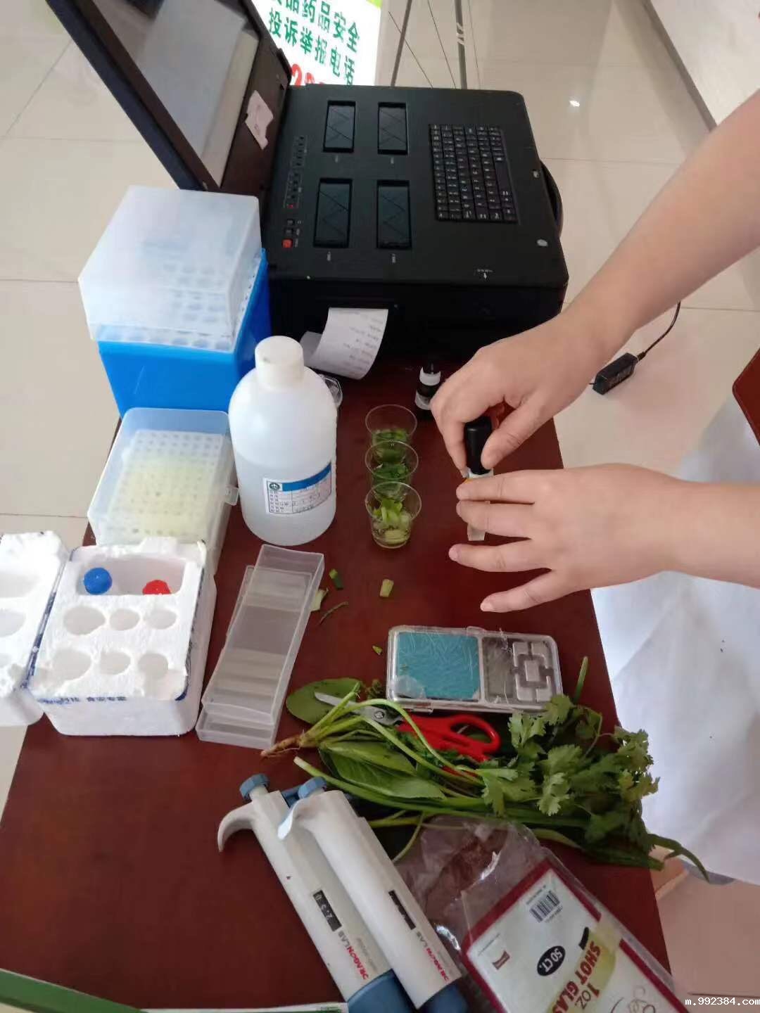 1594800044694994.jpg 微信图片_20200715155847.jpg