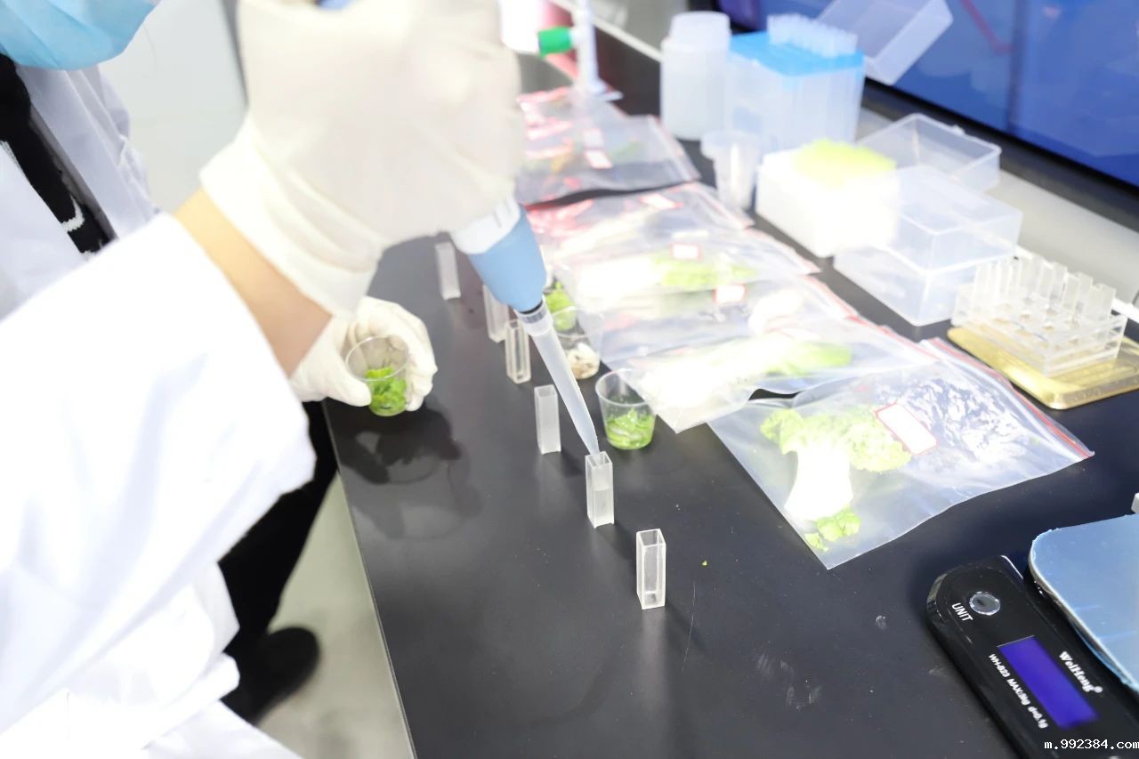 1622686248499201.jpg 6.jpg