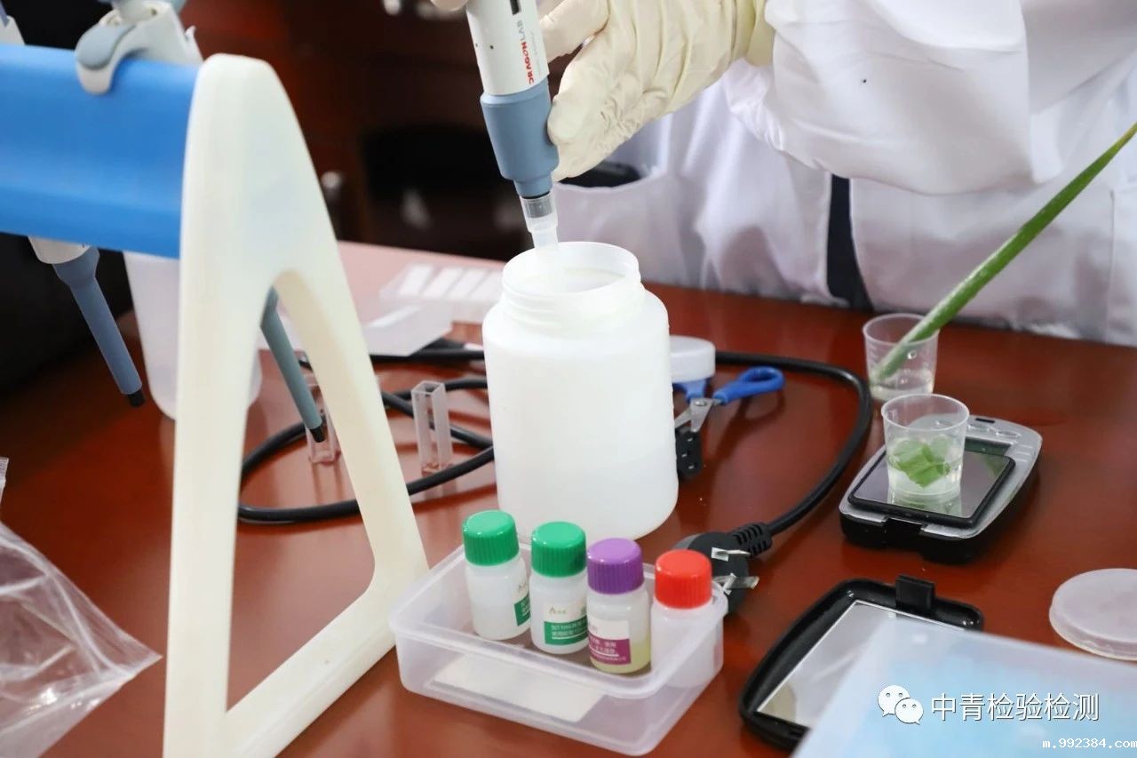 1594797389161561.jpg 微信图片_20200715151443.jpg