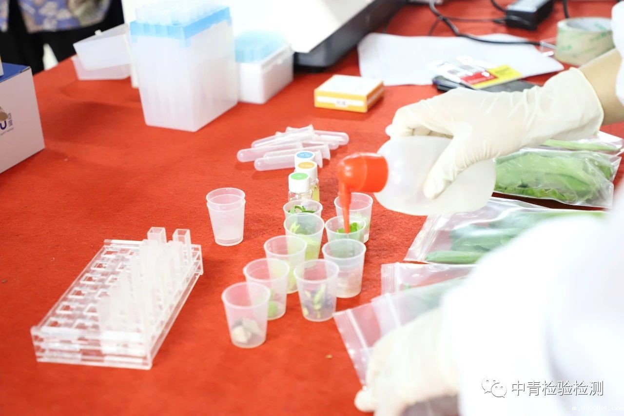 1594797726858364.jpg 微信图片_20200715152121.jpg