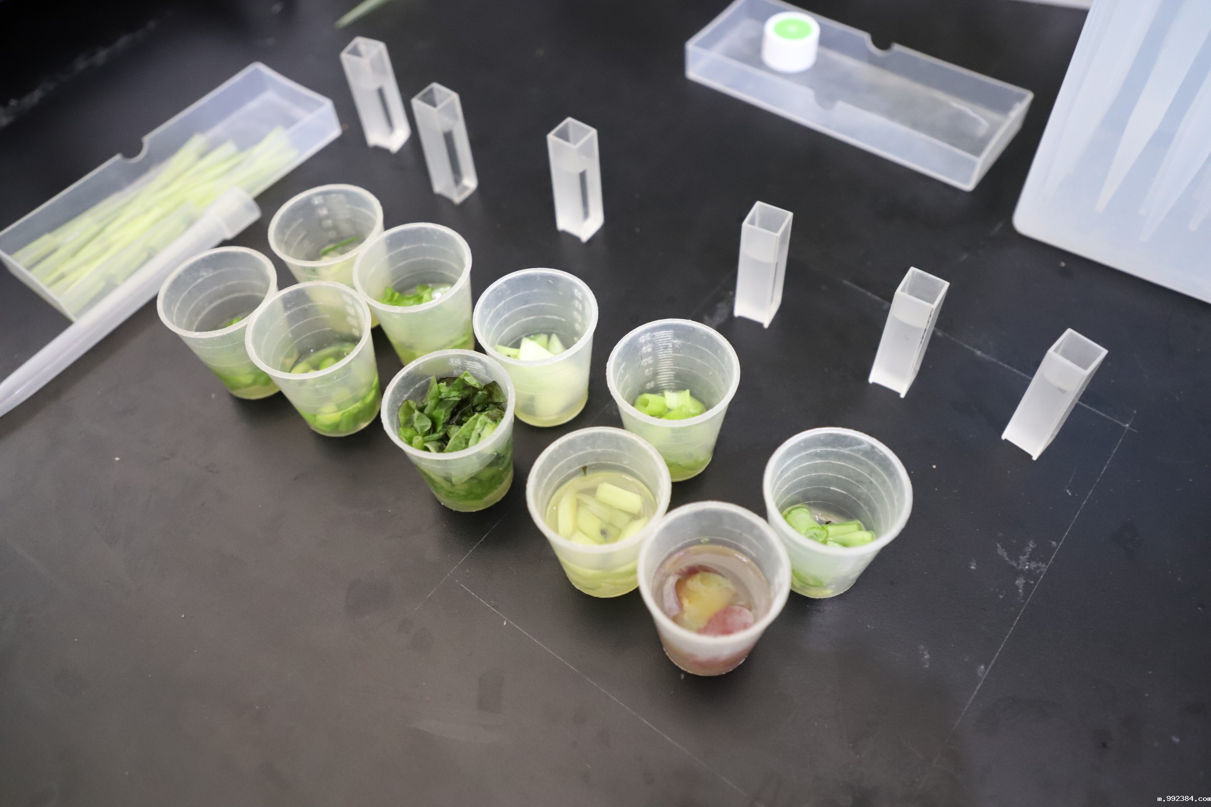 1594970688482221.jpg IMG_4186.JPG