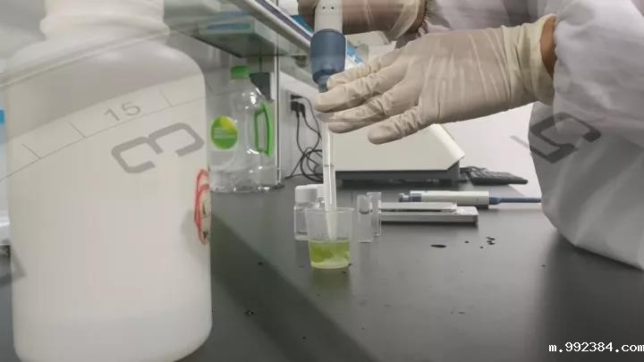 1597906920120222.jpg 微信图片_20200820150038.jpg