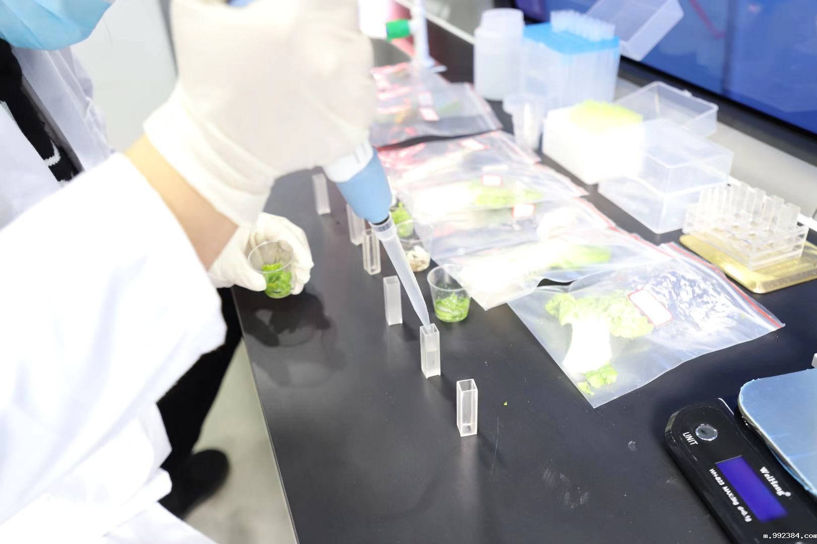 1610526239198063.jpg 微信图片_20201225165801.jpg