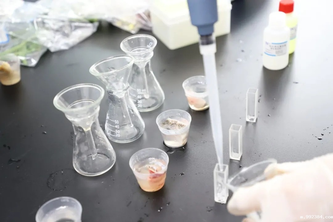 1619769646527585.jpg 8.webp.jpg