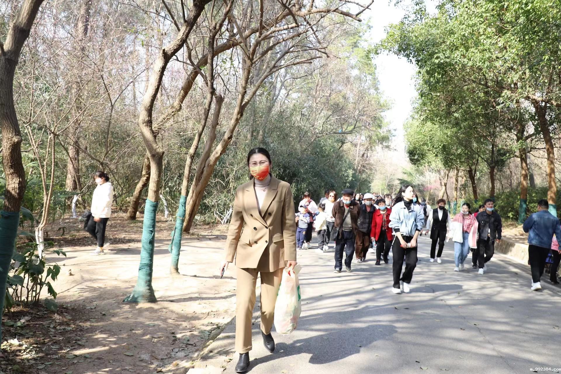 1646730095290351.jpg 上山4.jpg